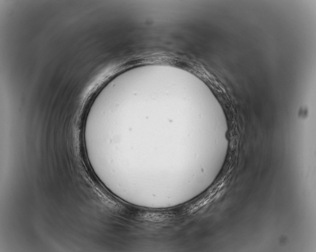 X0000098100341200805021114