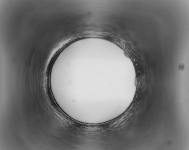 X0000098100342200805021114