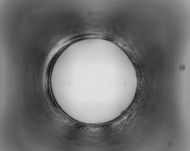 X0000098100343200805021114