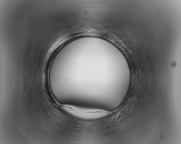 X0000098100344200805021114