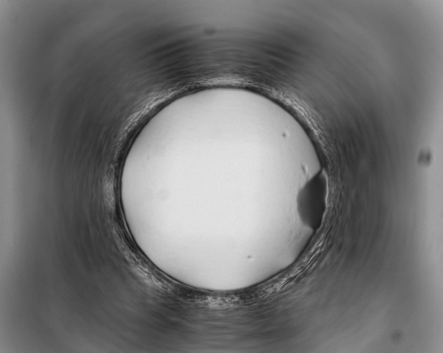 X0000098100345200805021114