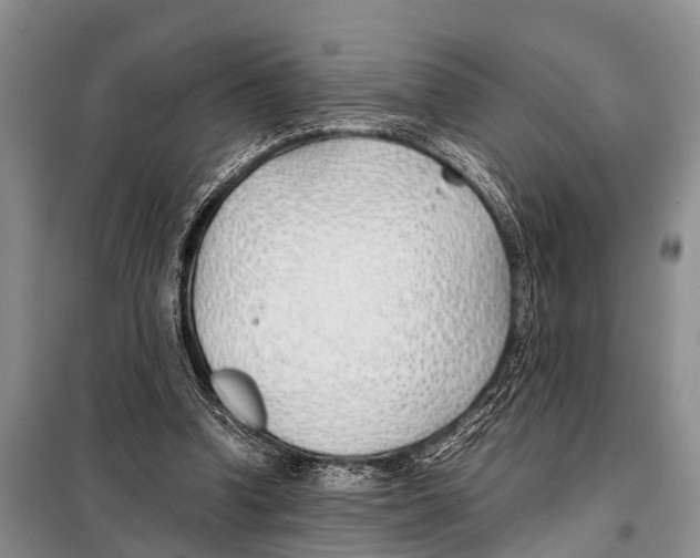 X0000098100346200805021114