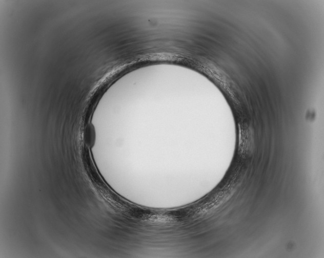 X0000098100348200805021114