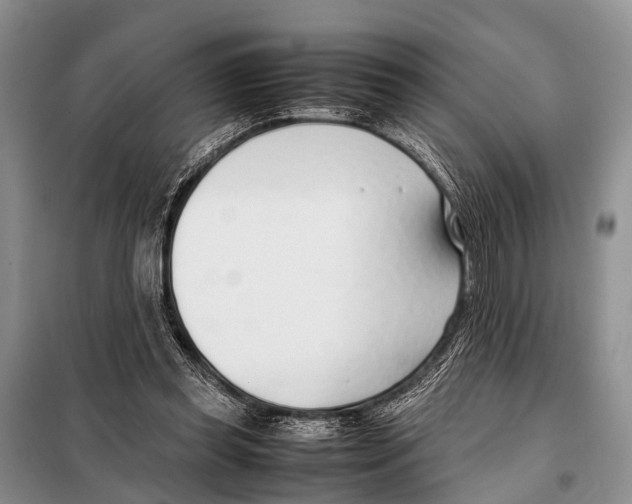 X0000098100349200805021114