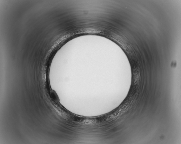 X0000098100350200805021115