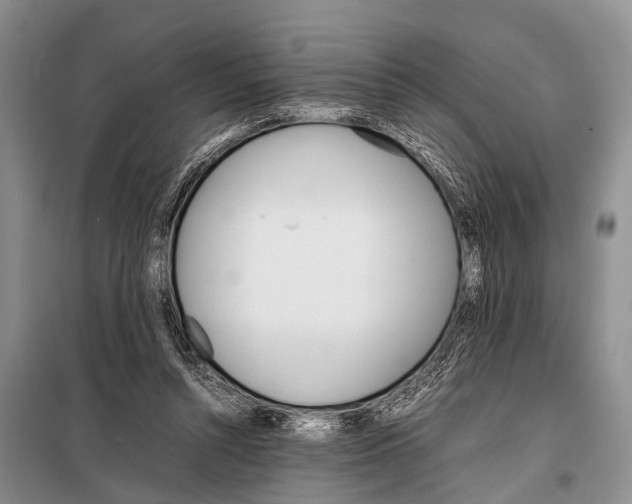 X0000098100352200805021115