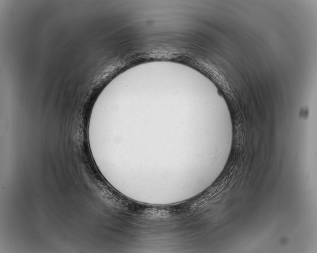 X0000098100354200805021115