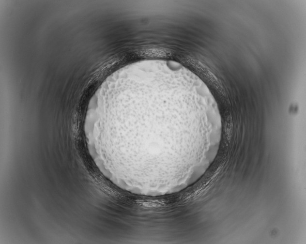 X0000098100359200805021115