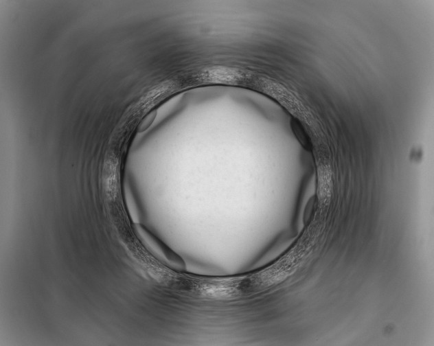 X0000098100360200805021115