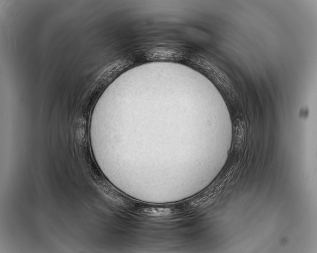 X0000098100361200805021115