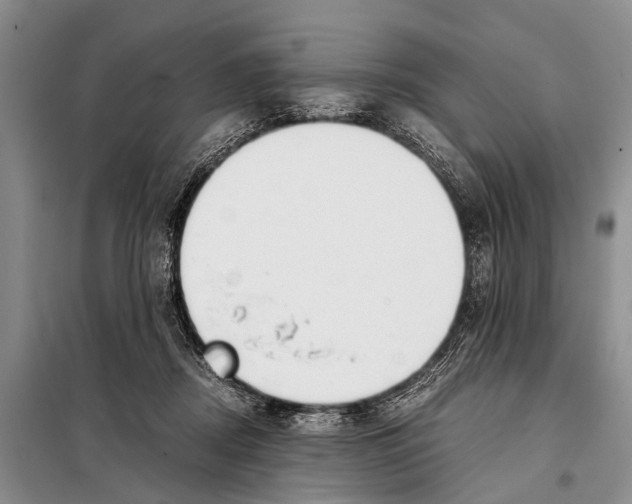 X0000098100362200805021115