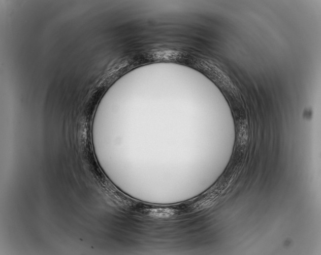 X0000098100363200805021115