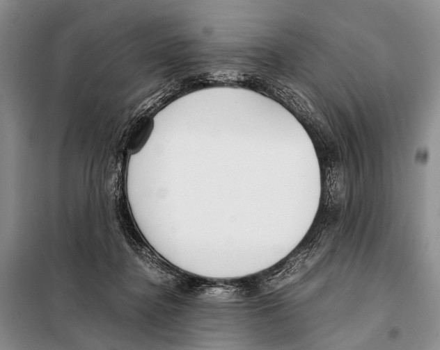 X0000098100364200805021115