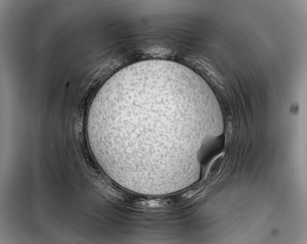 X0000098100365200805021115