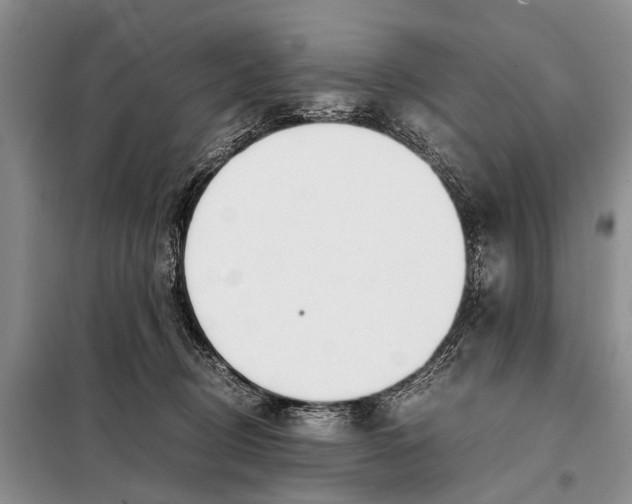 X0000098100370200805021115