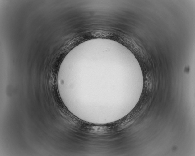 X0000098100371200805021115