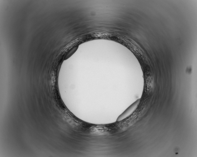 X0000098100372200805021115