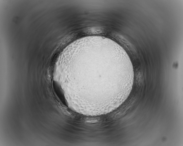 X0000098100373200805021115