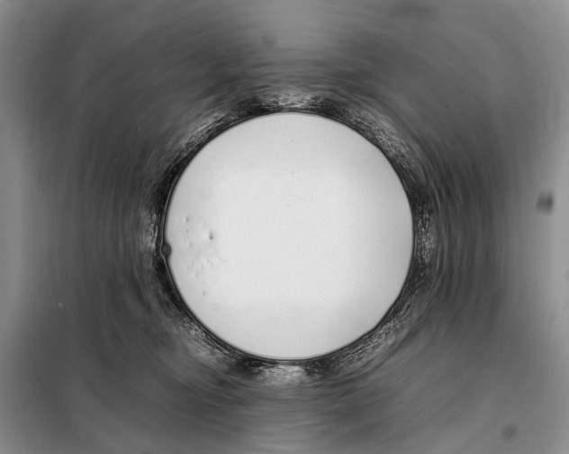 X0000098100374200805021115