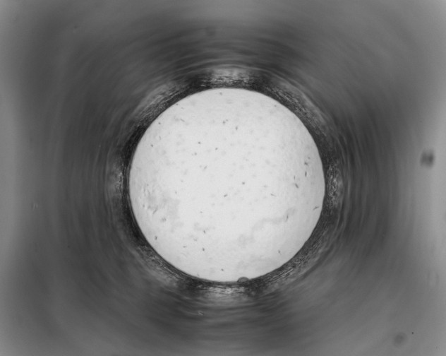 X0000098100375200805021115