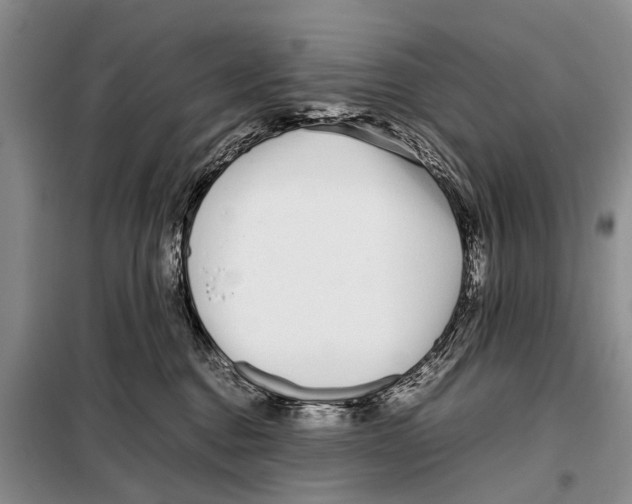 X0000098100376200805021115