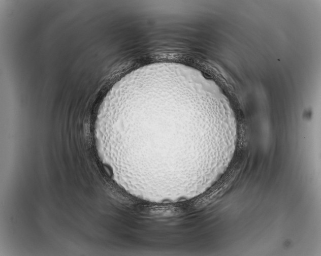X0000098100377200805021115