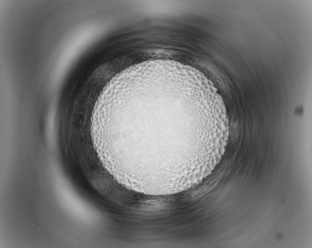 X0000098100381200805021115