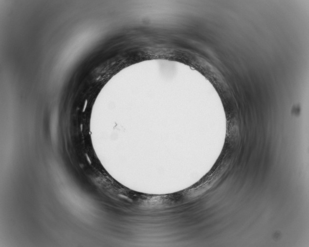 X0000098100382200805021115