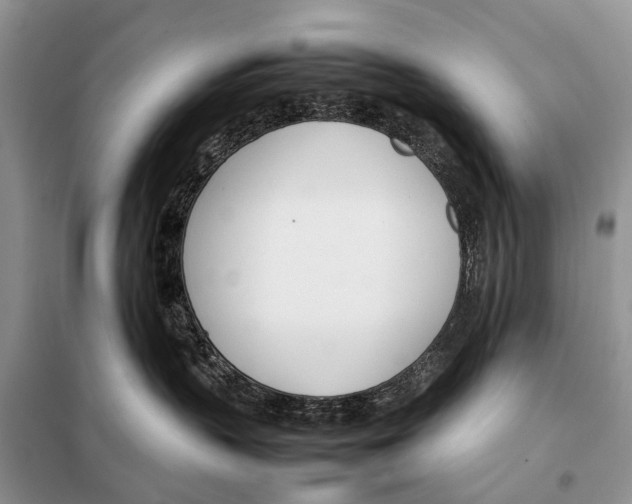 X0000098100383200805021115