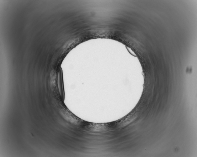 X0000098100384200805021115