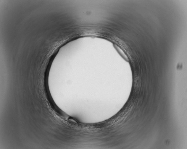 X0000098100385200805021114
