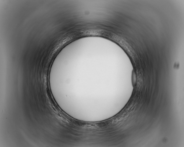 X0000098100386200805021114