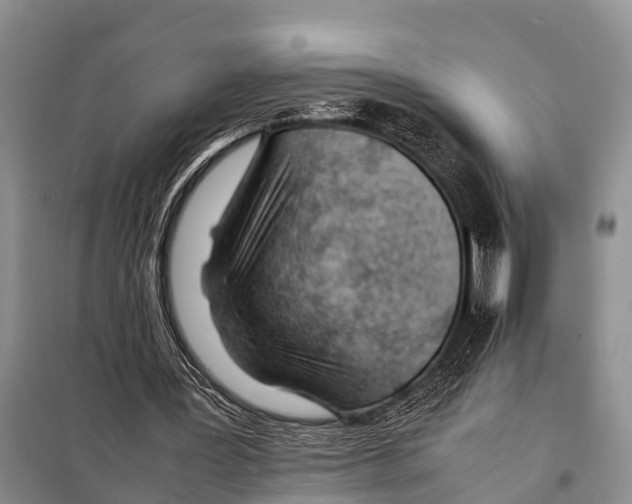 X0000098100387200805021114
