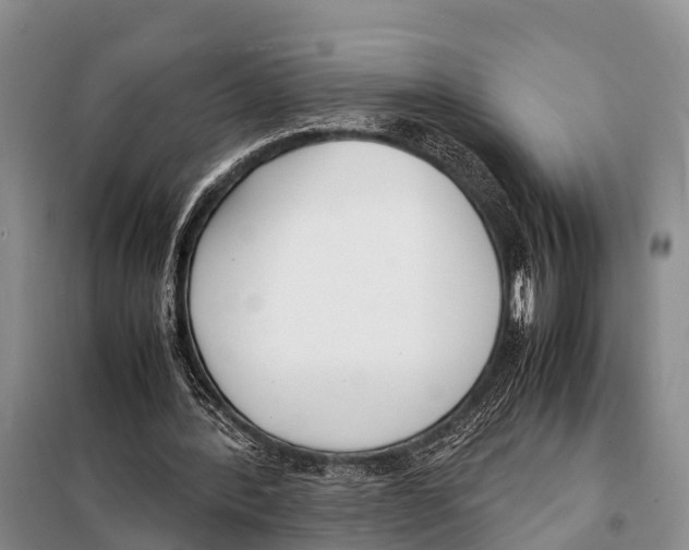 X0000098100388200805021114