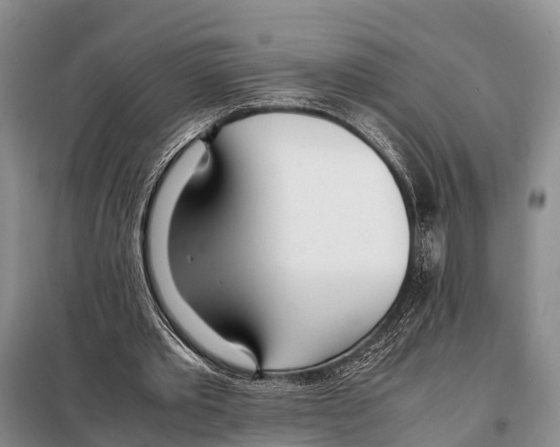 X0000098100389200805021114