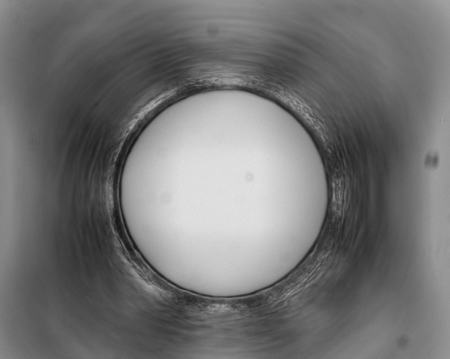 X0000098100390200805021114