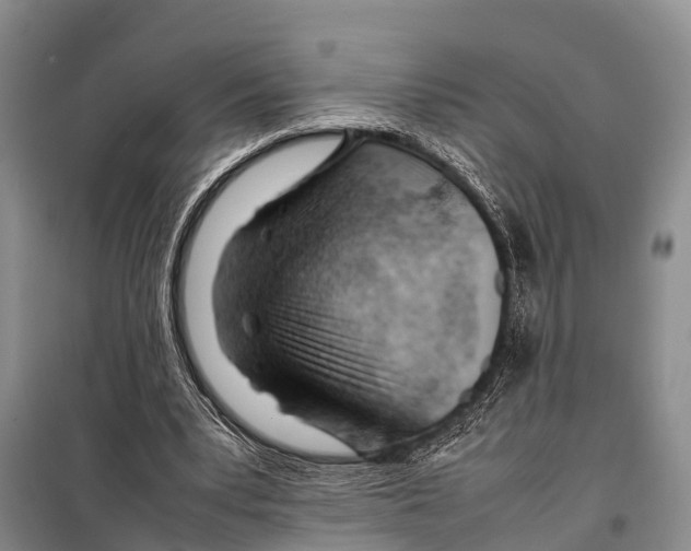 X0000098100391200805021114