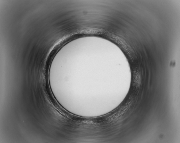 X0000098100392200805021114