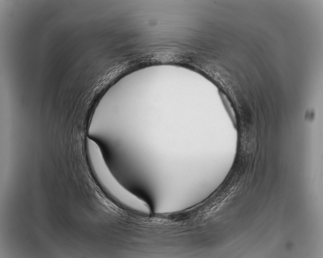 X0000098100393200805021114