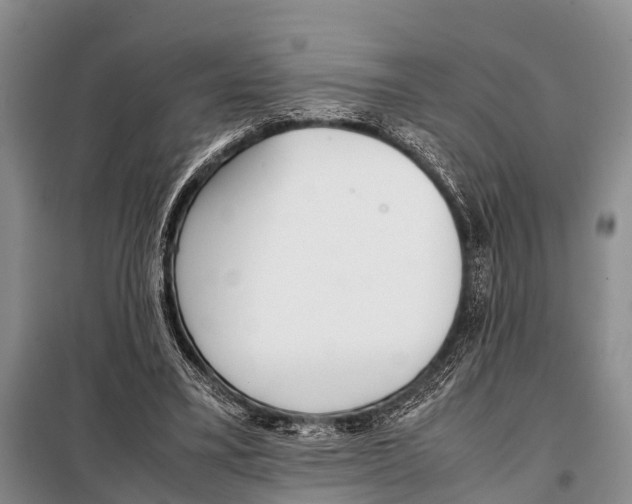 X0000098100395200805021114