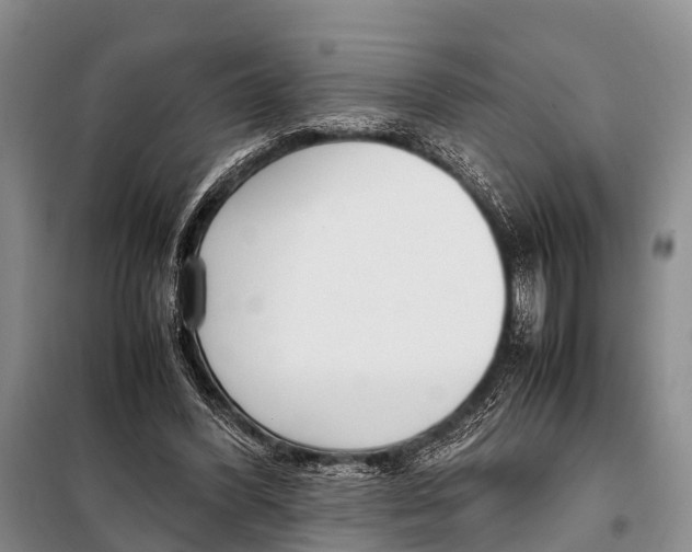 X0000098100396200805021114