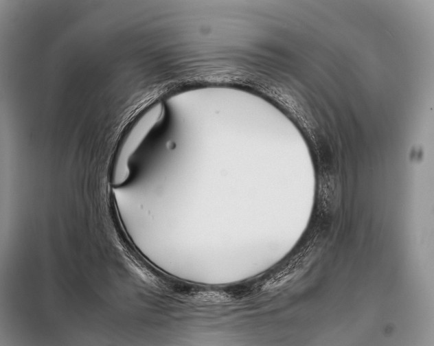 X0000098100397200805021114