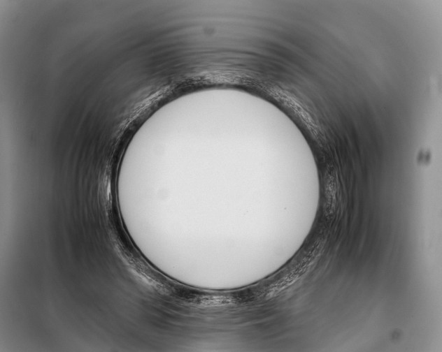 X0000098100398200805021114