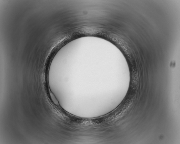 X0000098100399200805021114