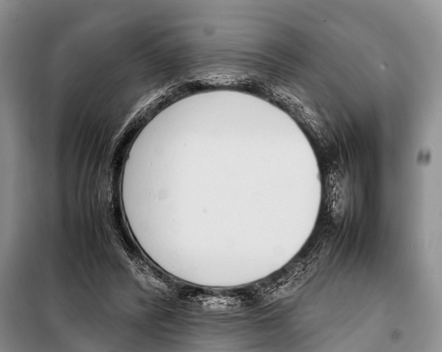 X0000098100400200805021114