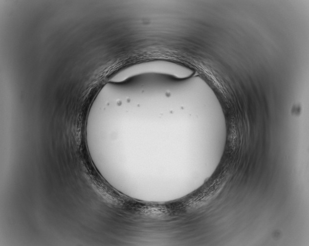X0000098100402200805021114