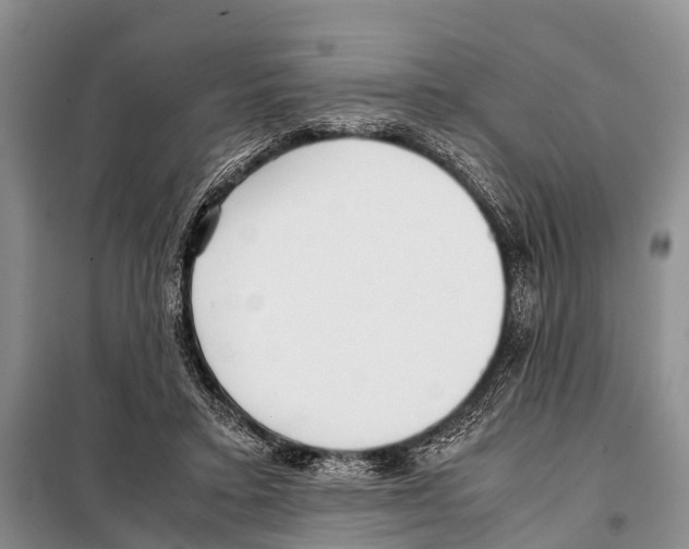 X0000098100403200805021114