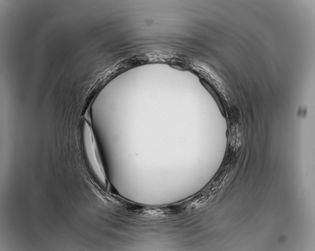 X0000098100405200805021114