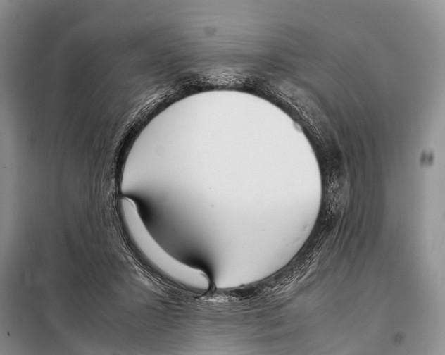X0000098100407200805021114