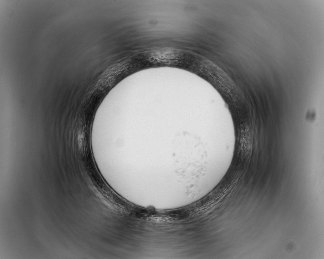X0000098100408200805021114